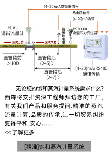 【精準】飽和蒸汽計量系統